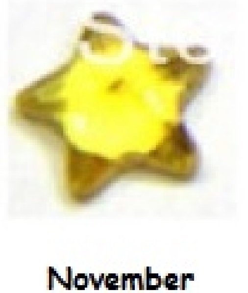 November birthstone star 4mm floating locket charm - Click Image to Close